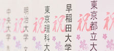 大学合格実績
