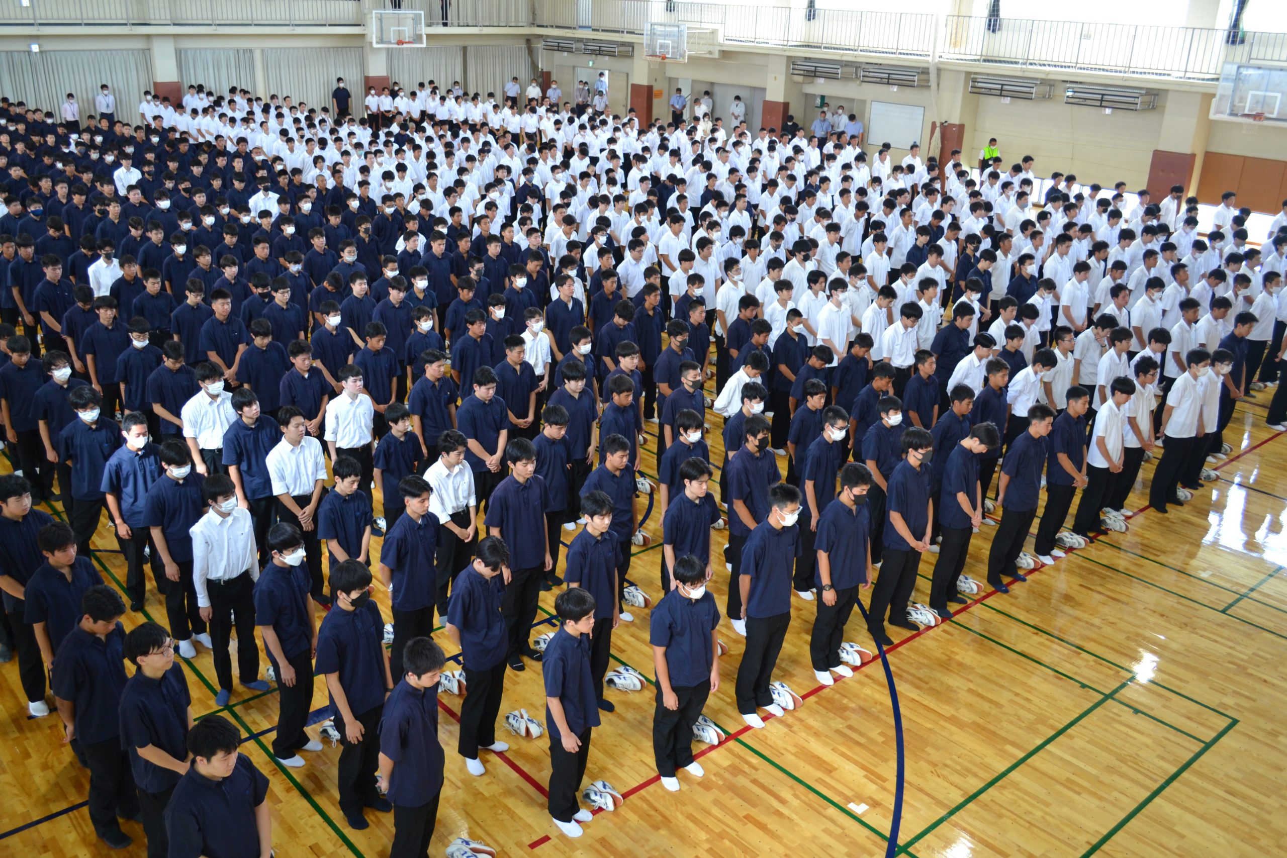 活動歴および当時の関連ビジュアル記録